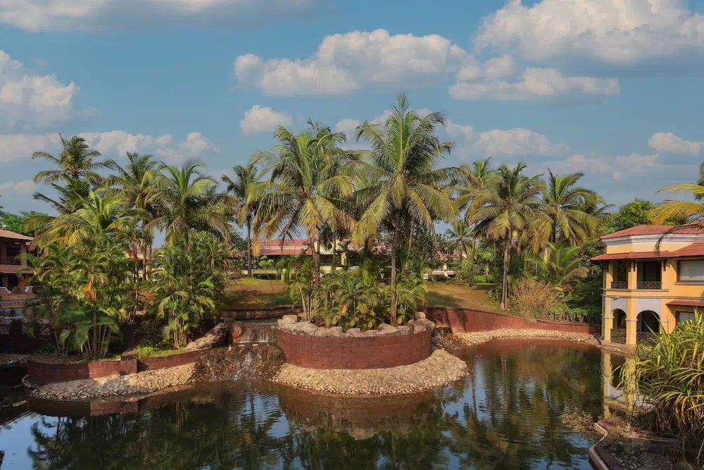 Hotel image 20