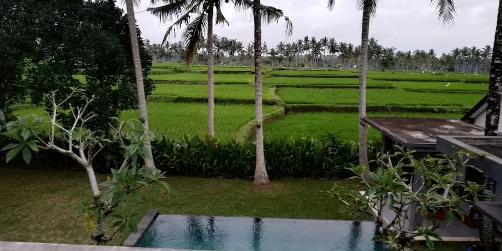 Hotel image 11