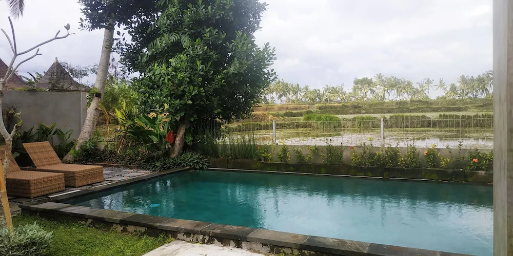 Hotel image 7