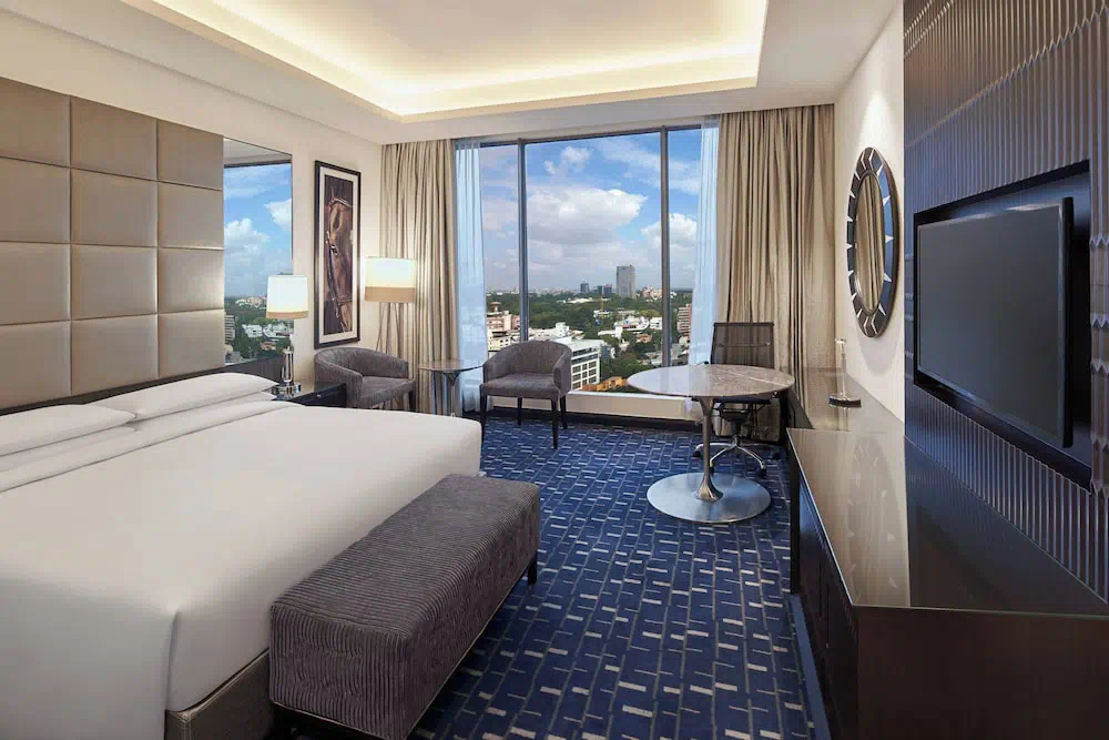 Hotel image 15