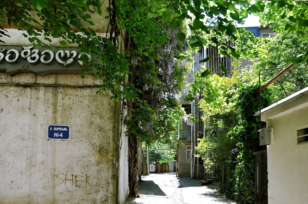 Hotel image 8