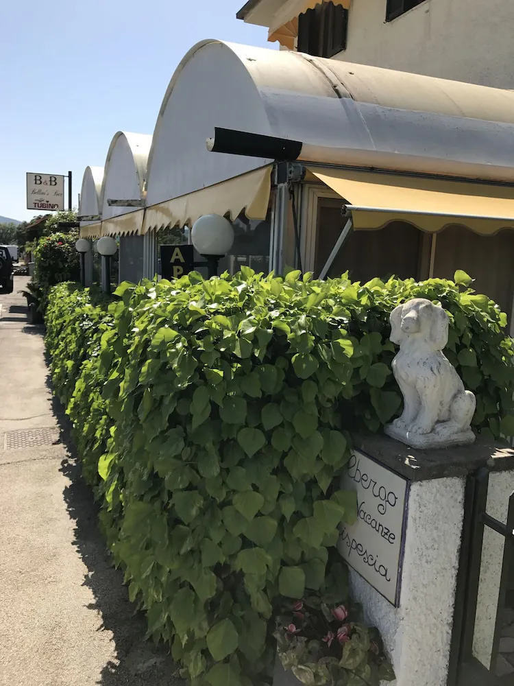 Hotel image 8