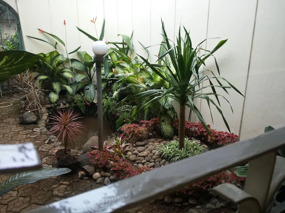 Hotel image 7