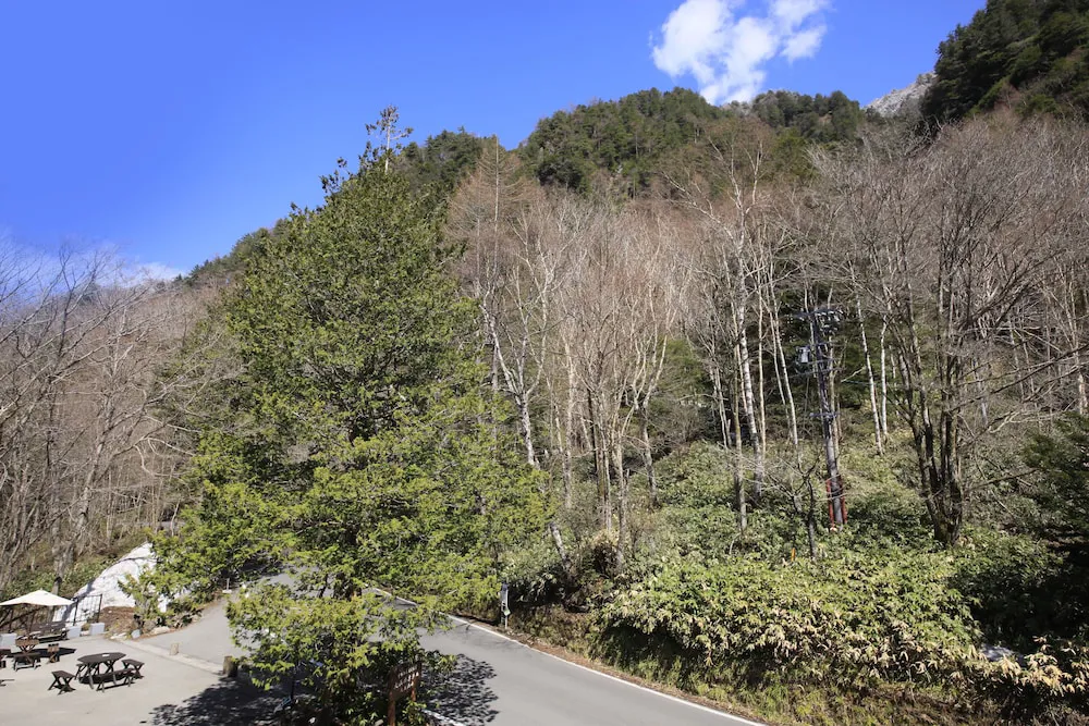 Hotel image 8