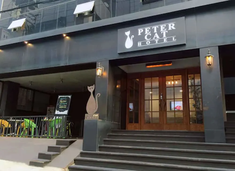 Hotel image 4