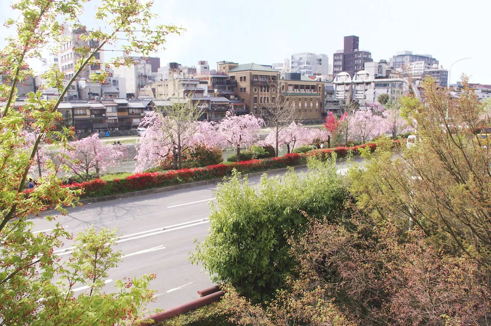 Hotel image 9