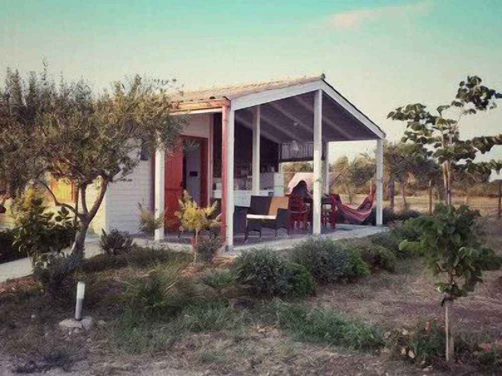 Hotel image 13