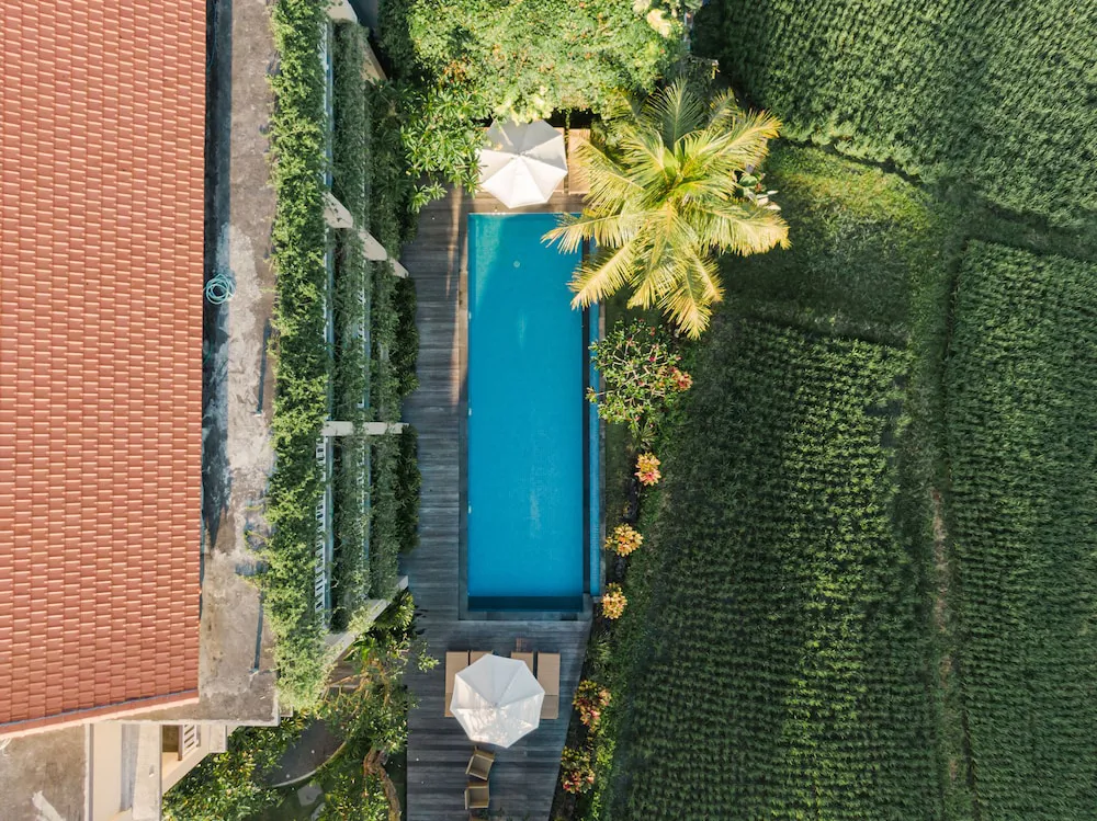 Hotel image 12