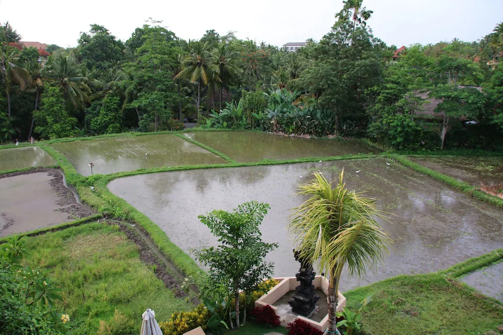 Hotel image 13