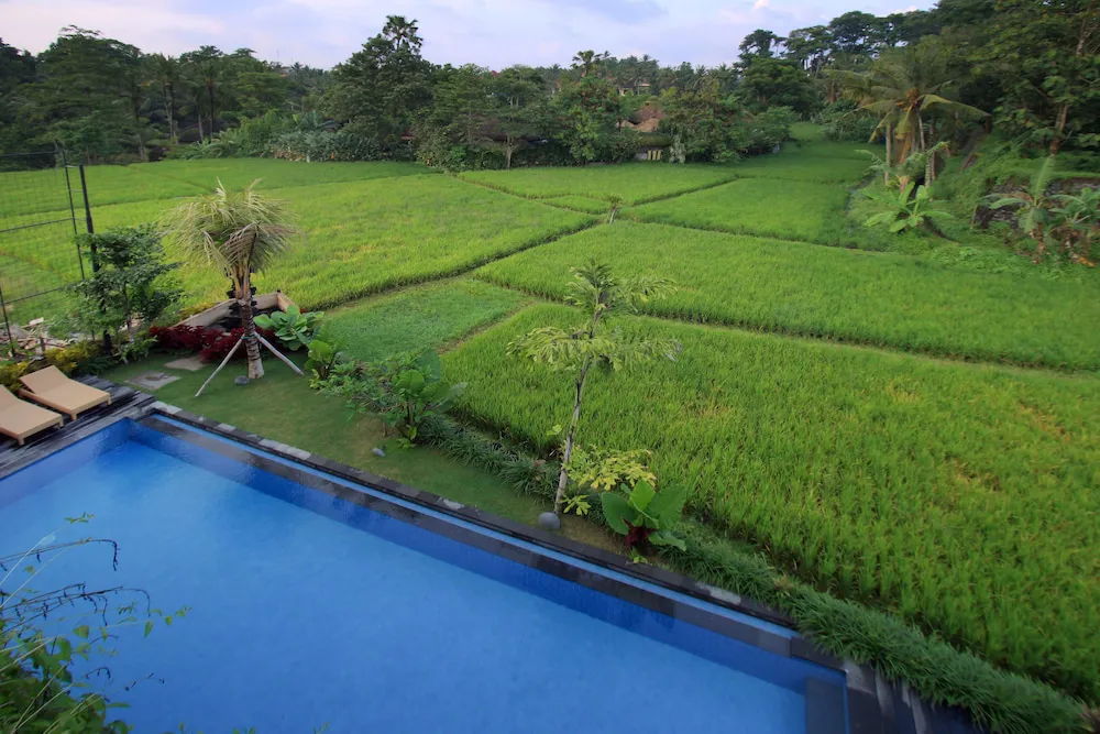 Hotel image 14
