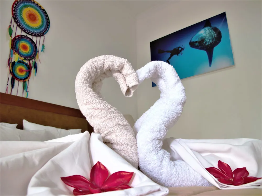 Hotel image 15