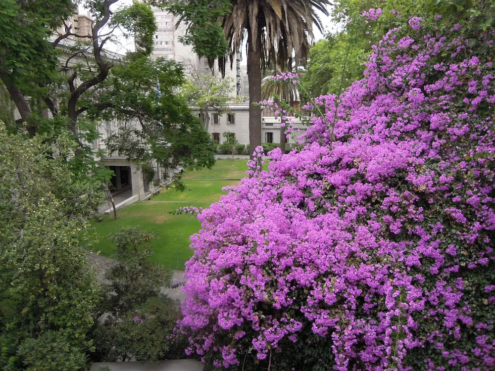 Hotel image 12
