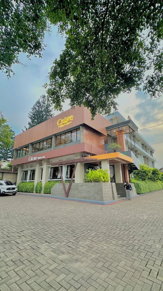 Hotel image 5