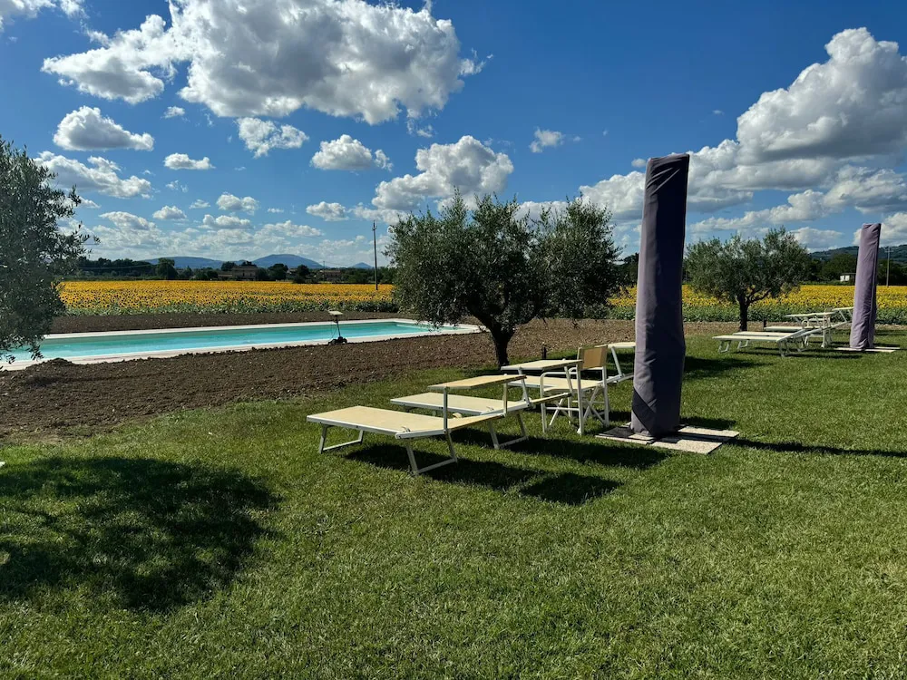 Hotel image 10