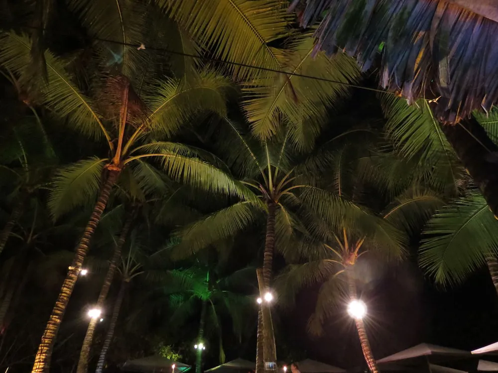 Hotel image 8