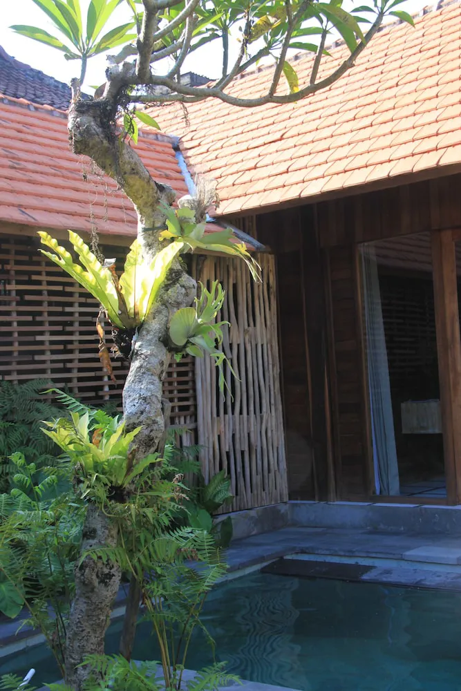 Hotel image 18