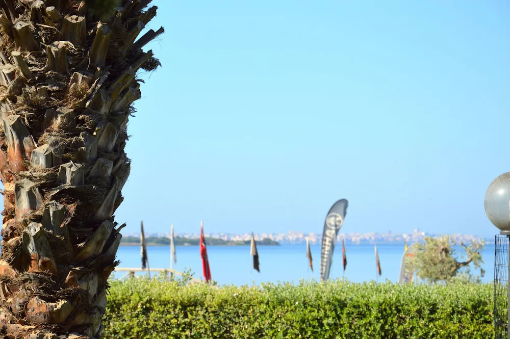 Hotel image 13