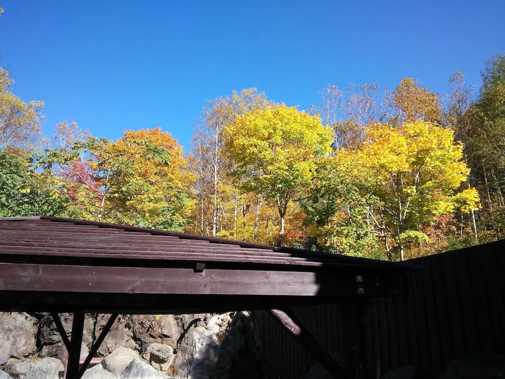 Hotel image 8