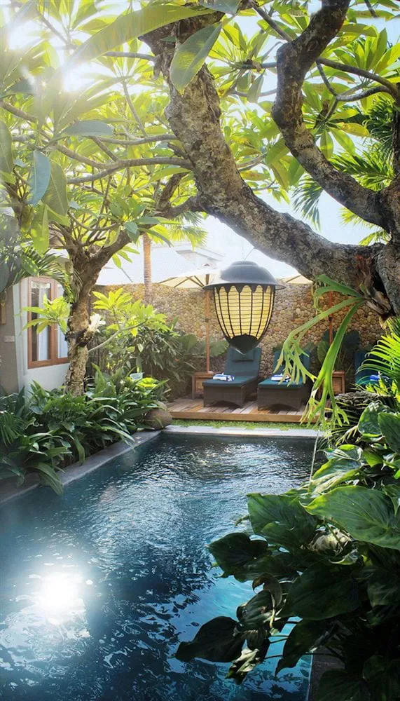 Hotel image 8
