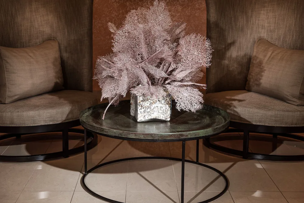 Hotel image 14