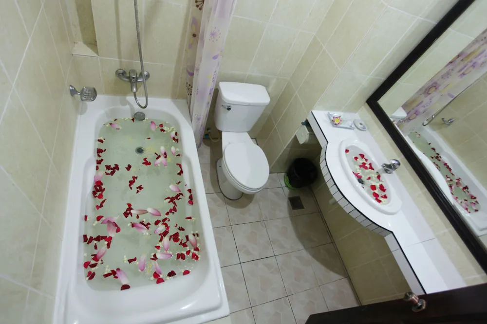 Hotel image 19