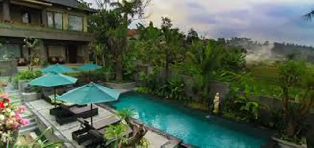 Hotel image 11