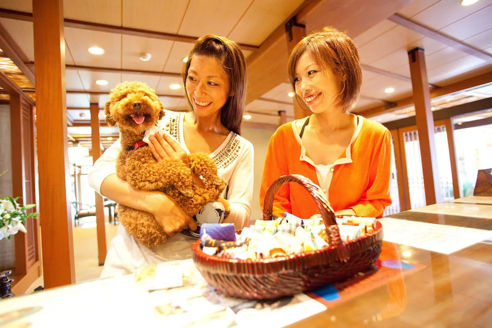 Hotel image 10