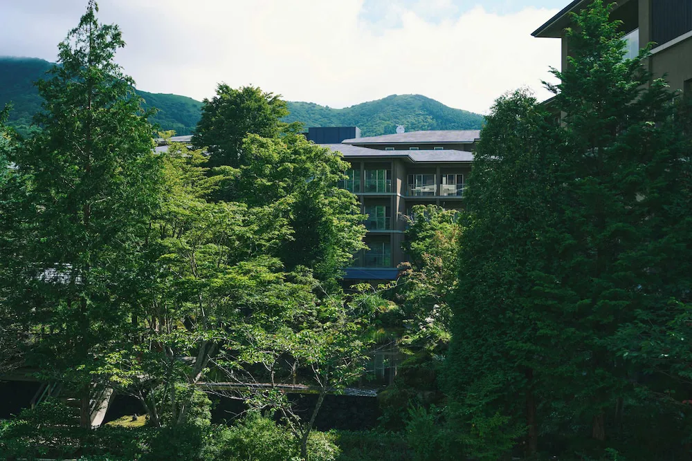 Hotel image 8