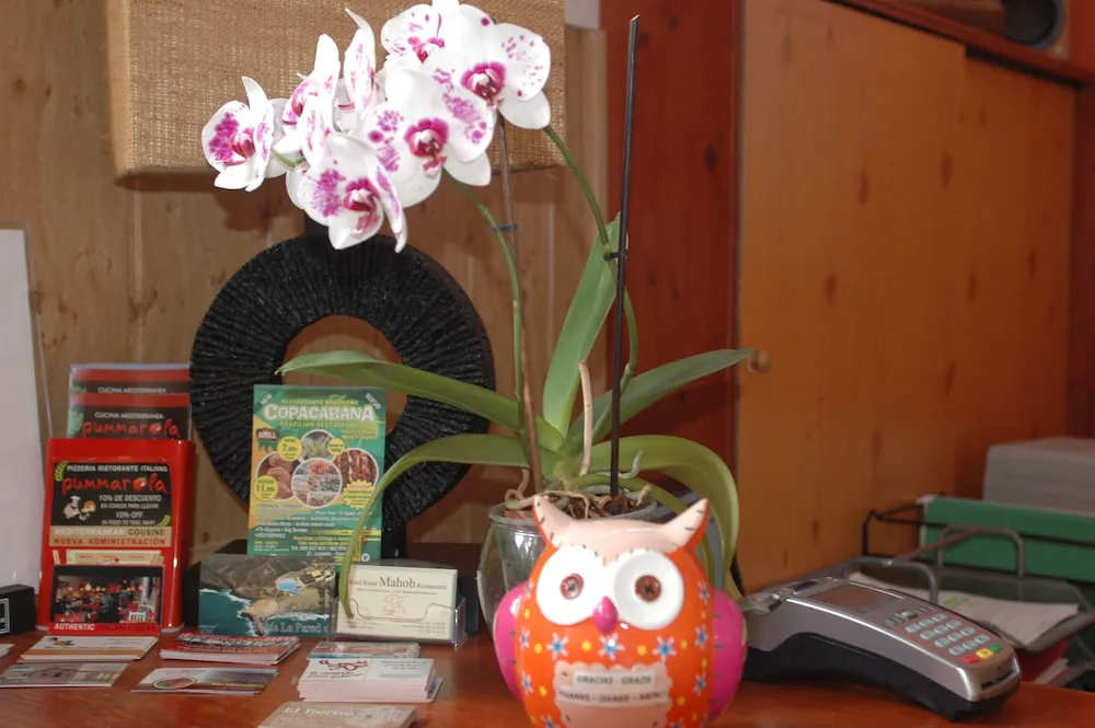 Hotel image 7