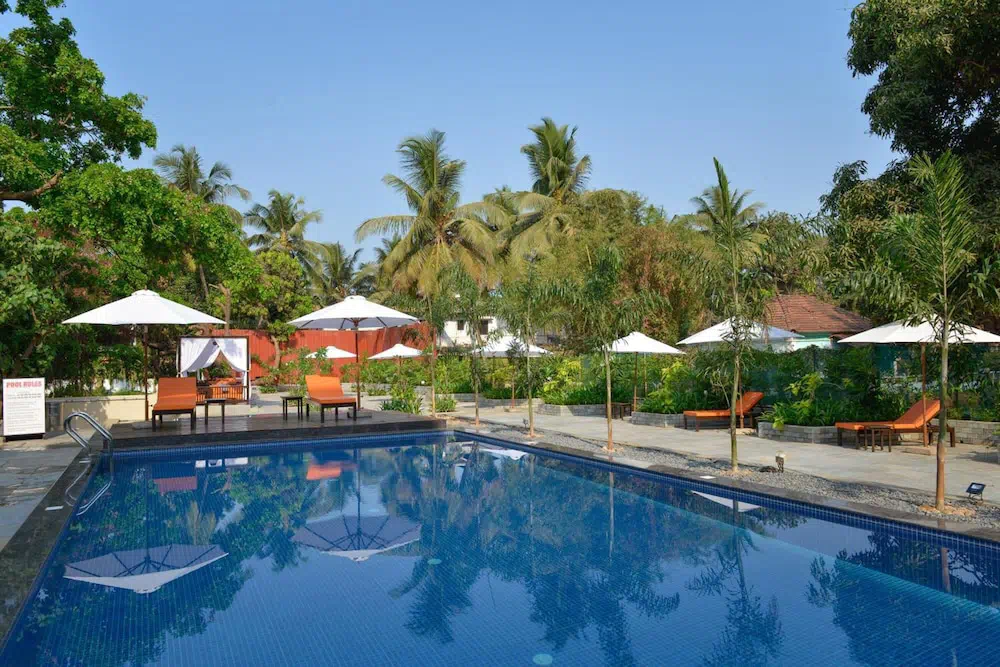 Hotel image 15
