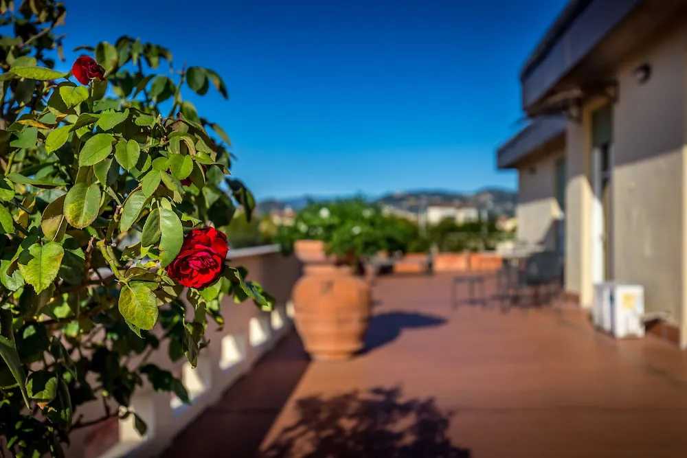 Hotel image 9