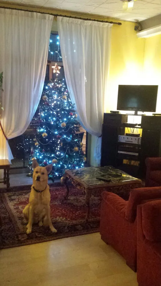 Hotel image 12