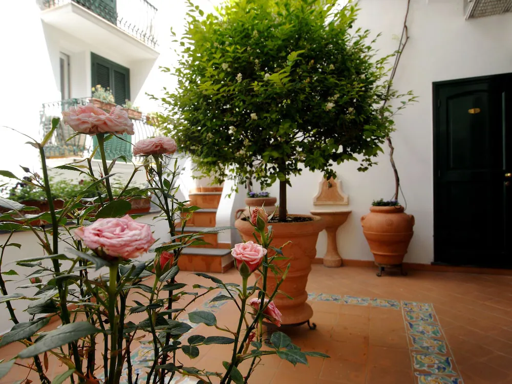 Hotel image 15