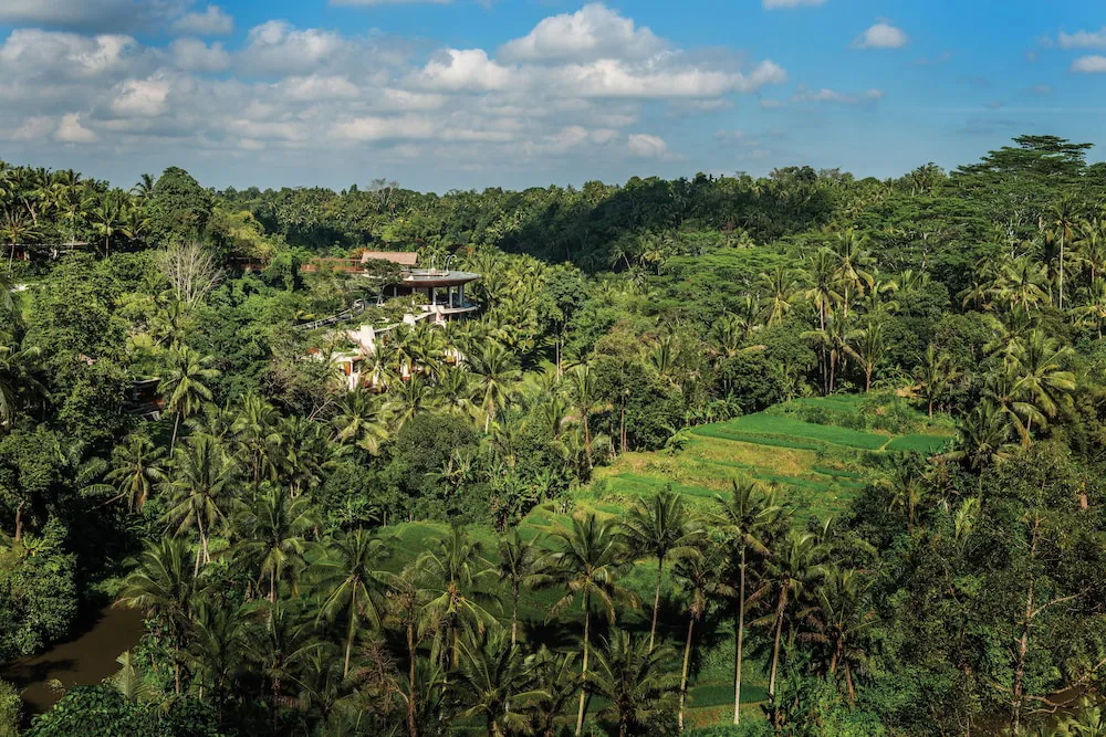 Hotel image 12