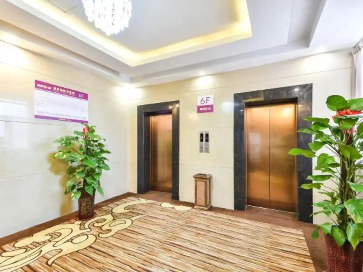 Hotel image 8