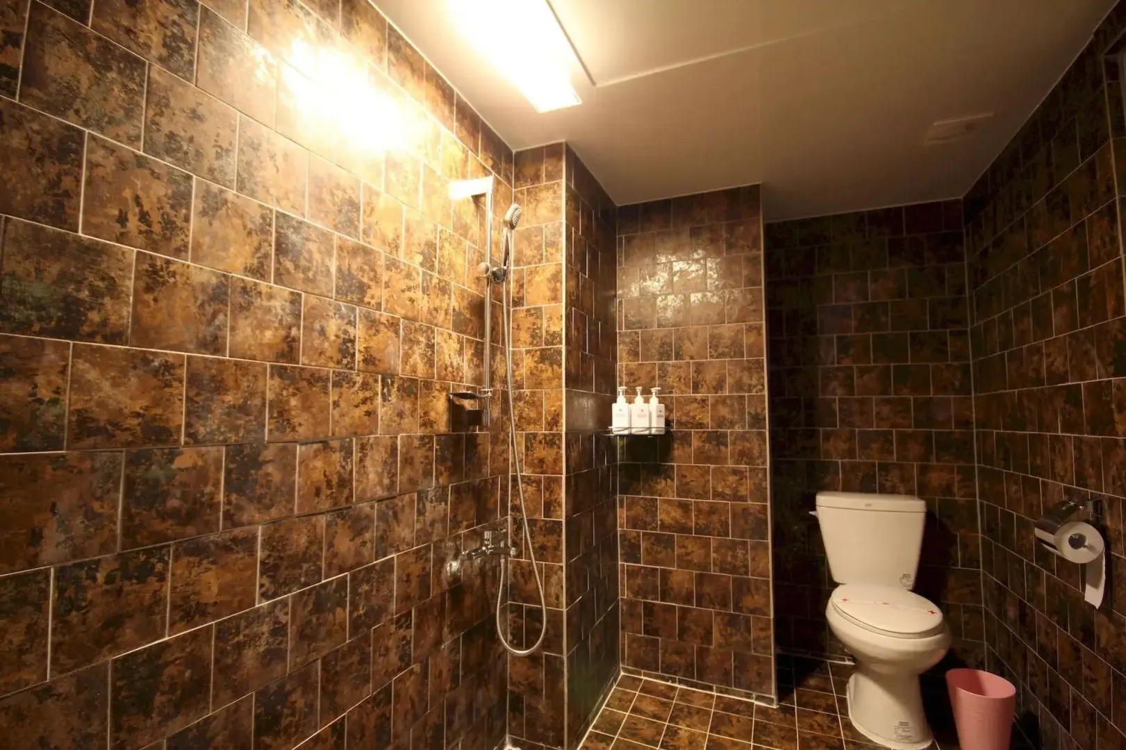 Hotel image 13