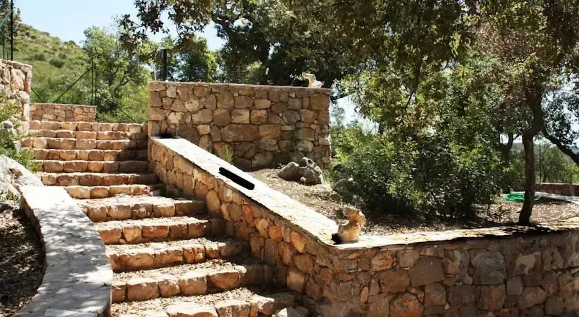 Hotel image 13