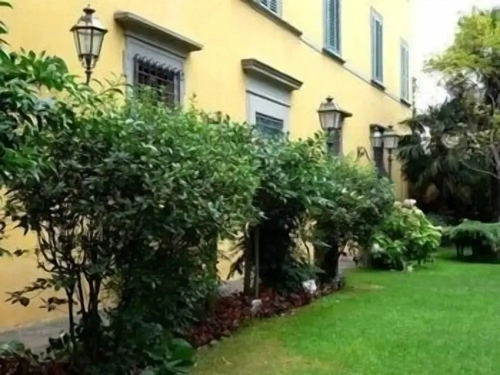 Hotel image 16