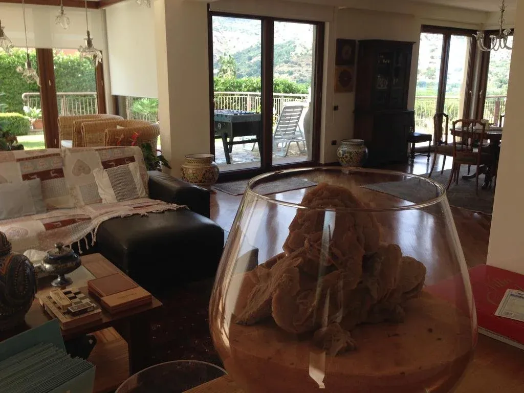 Hotel image 15