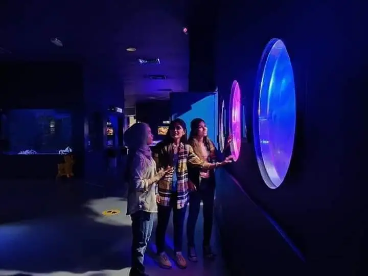 Experience 2