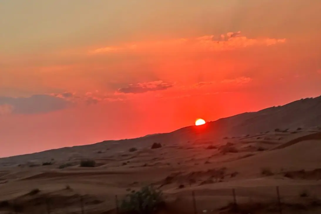 Red Dunes Desert Half-Day Safari with Live Entertainment in Dubai - Photo 6