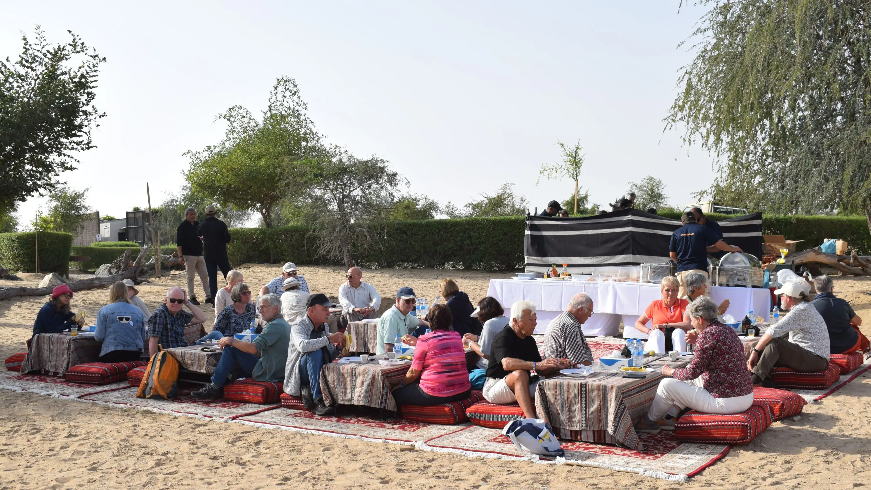 Dubai's Sunrise Safari with Wildlife Experience or Morning Safari in Dubai - Photo 3