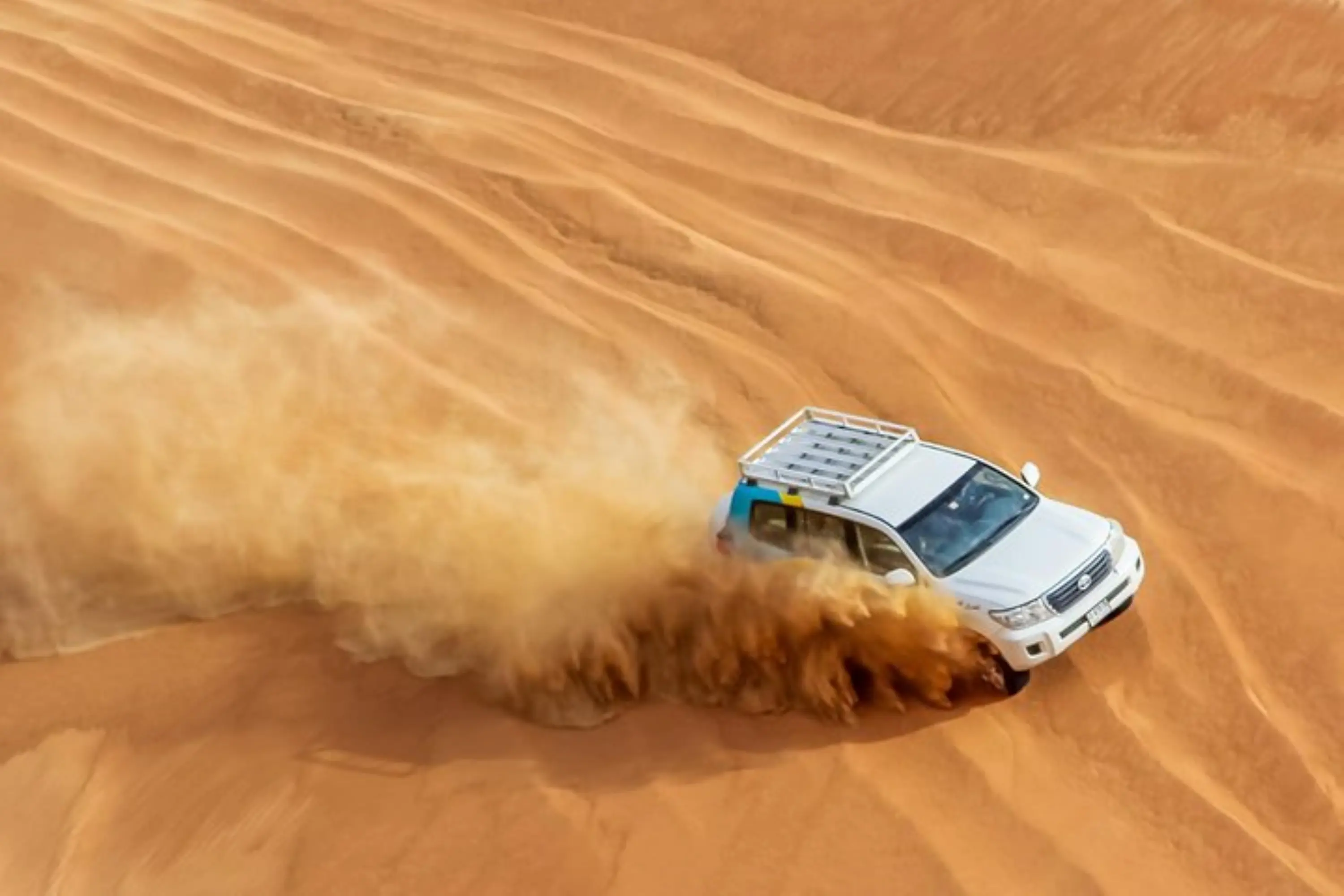 Dubai's Sunrise Safari with Wildlife Experience or Morning Safari in Dubai - Photo 5