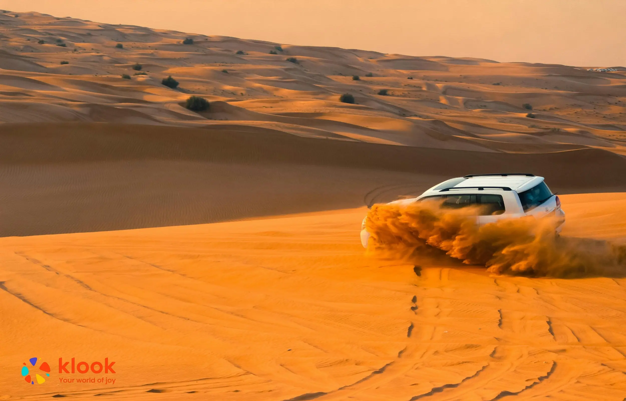 Best Red Dune Deluxe Desert Safari in Dubai - Photo 4