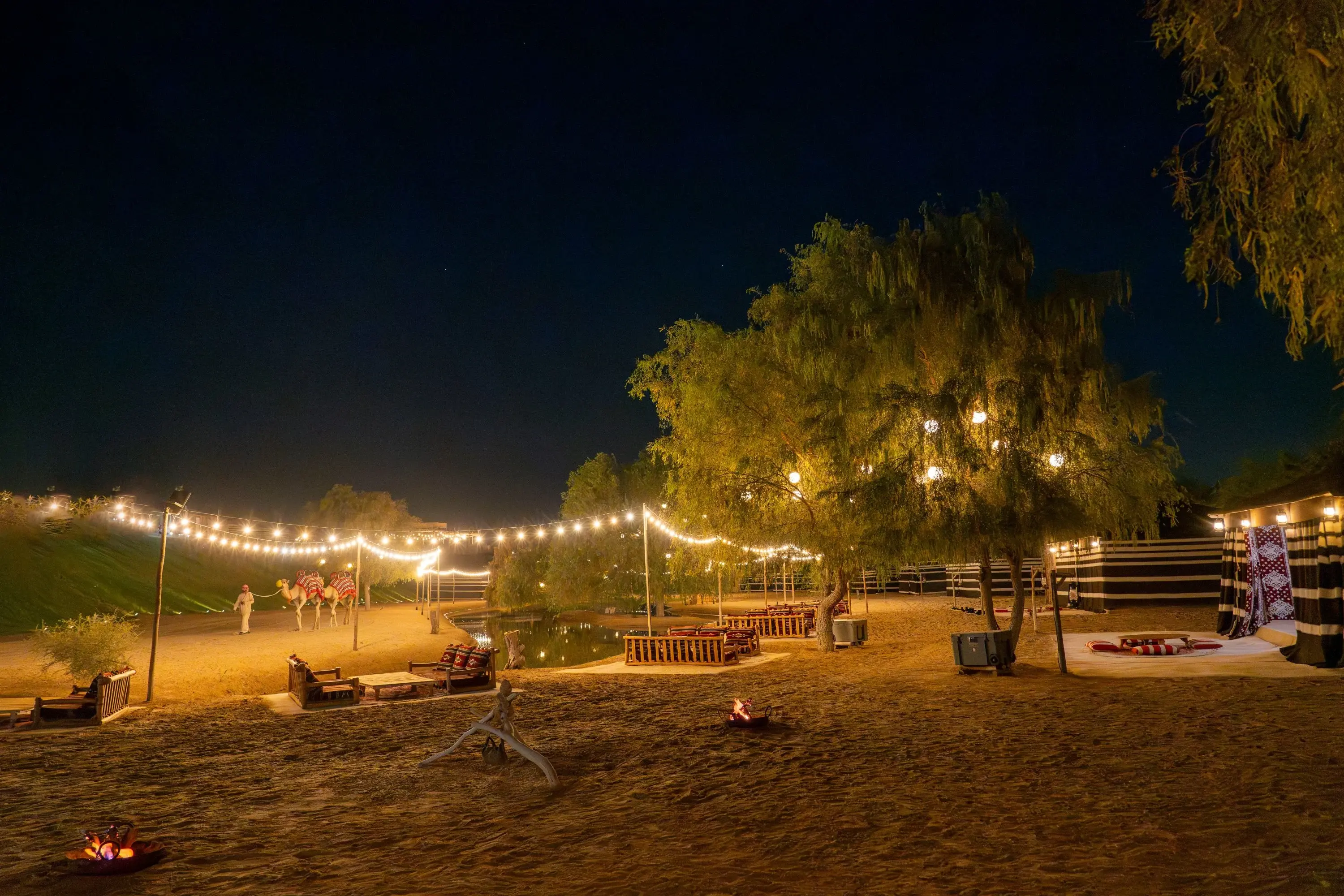 Dubai: Premium Night Desert Safari with Camel Ride & Stargazing in Dubai - Photo 4