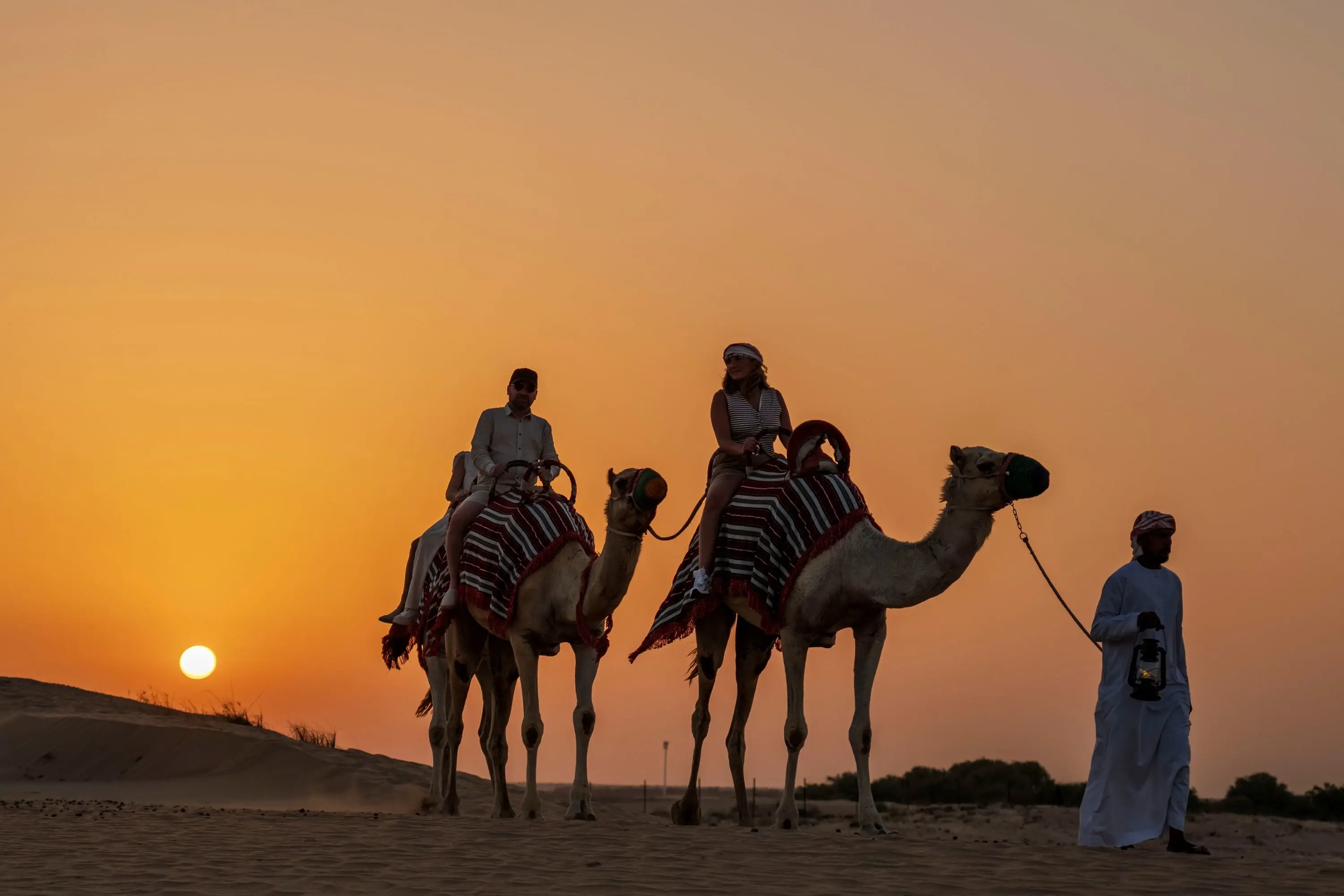Dubai: Premium Night Desert Safari with Camel Ride & Stargazing in Dubai - Photo 5