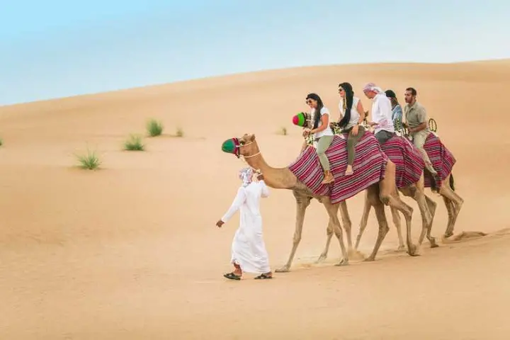 Deluxe Desert Safari Experience in Dubai - Photo 6