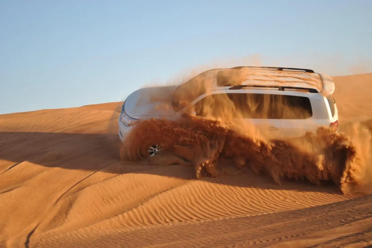 Desert Safari Tours in Dubai - Morning, Evening and Overnight in Dubai - Photo 2