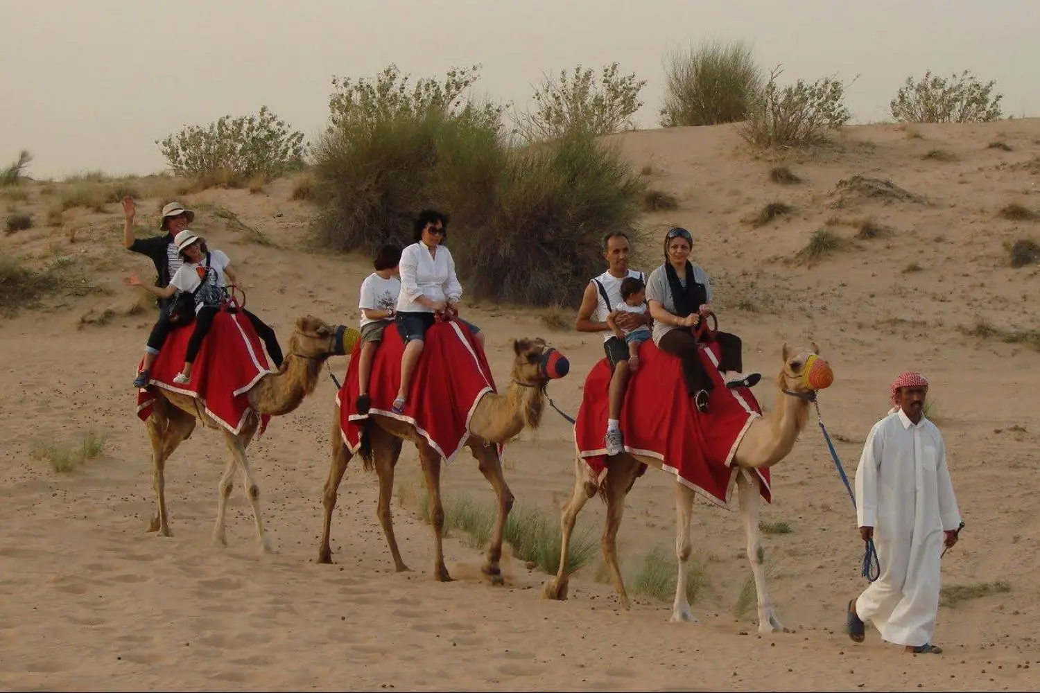 Desert Safari Tours in Dubai - Morning, Evening and Overnight in Dubai - Photo 3