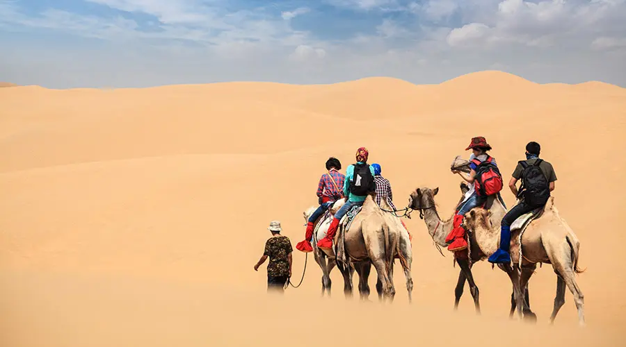 Desert Safari Tours in Dubai - Morning, Evening and Overnight in Dubai - Photo 16